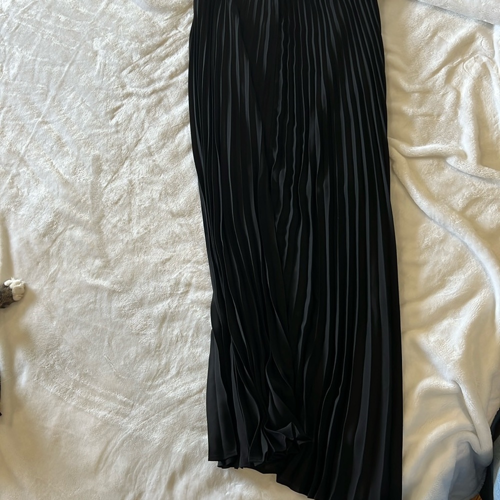 NWoT Express Maxi Skirt Chiffon Fully lined Size Small